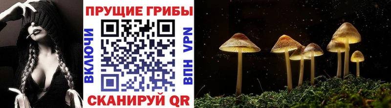 Псилоцибиновые грибы Cubensis  где купить   Южно-Сахалинск 